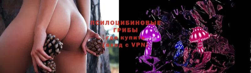 Галлюциногенные грибы Magic Shrooms  дарнет шоп  omg зеркало  Кандалакша 