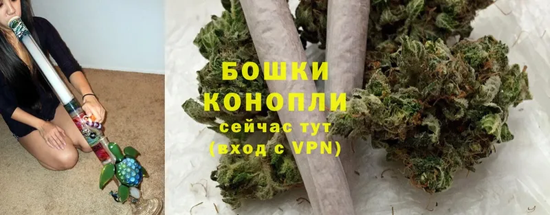 Бошки Шишки Bruce Banner  Кандалакша 